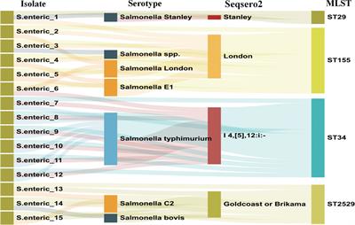 Characterization of resistance genes and plasmids from sick children caused by Salmonella enterica resistance to azithromycin in Shenzhen, China